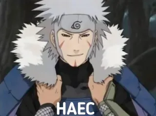 😏 HAEC telegram sticker