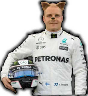 🐶 Valtteri Bottas formula 1, pilota, motorsport, finlandese, casco telegram sticker