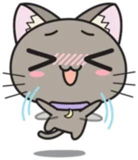 😆 cat, crying, happy, tears, cute, cartoon, sticker whatsapp sticker