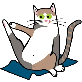 💁‍♀️ Katze, Tier, lustig, Aufkleber, süß, Cartoon, Illustration telegram sticker
