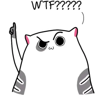 🤨 WTF?????? แมว, การ์ตูน, คำถาม, สีหน้า, อารมณ์ขัน telegram sticker