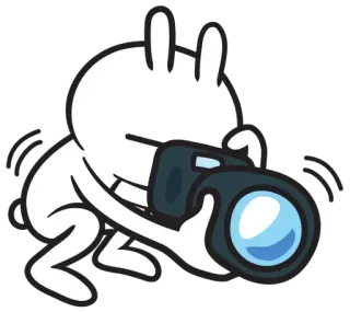 📷 królik, aparat, fotograf, robi zdjęcie, króliczek telegram sticker