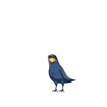 🤩 pájaro, cuervo, animal, dibujos animados telegram sticker