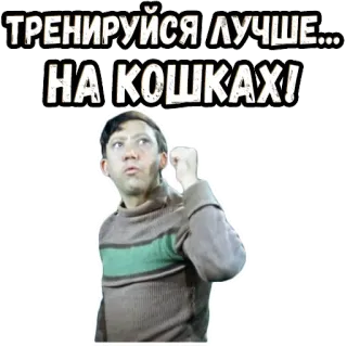 👉 ТРЕНИРУЙСЯ ЛУЧШЕ... НА КОШКАХ! russian, funny, meme, cat, phrase, sarcastic telegram sticker