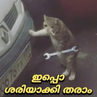 😂 ഇപ്പൊ ശരിയാക്കി തരാം kat, monteur, sleutel, reparatie, grappig telegram sticker