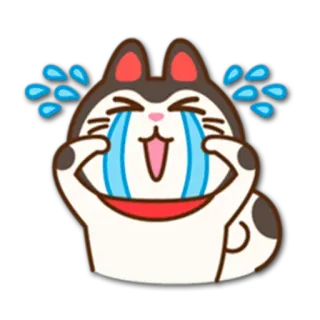 😭 kot, płacz, łzy, szczęśliwy, radosny, emocje telegram sticker