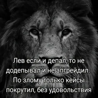 😎 Лев если и депал, то не
додепывал и не апгрейдил.
По злому только кейсы
покрутил, без удовольствия león, animal, ruso, texto, meme telegram sticker
