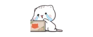✨ Cat Katze, weinend, traurig, Aufkleber, Tier telegram sticker