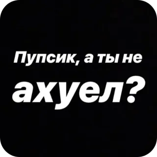 ❤ Пупсик, а ты не ахуел? ロシア語, 侮辱, テキスト, 攻撃的, スラング telegram sticker