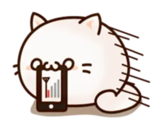 Round and Pretty Cat whatsapp stickers