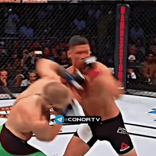 🦁 CONORTV mma, fighting, sports, combat telegram sticker