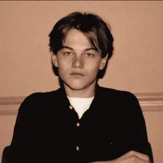 🌻 Leonardo DiCaprio Leonardo DiCaprio, actor, young, portrait, celebrity telegram sticker
