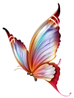 🦋 borboleta, colorido, inseto, asas, natureza telegram sticker