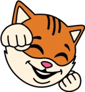 🥳 chat, animal, autocollant, dessin animé, orange, mignon telegram sticker