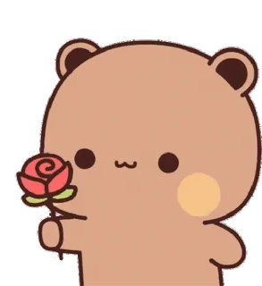 🌹 urso, fofo, rosa, amor, kawaii whatsapp sticker