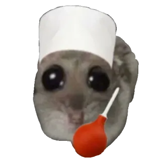 😷 mouse mouse, doctor, nurse, enema, syringe, funny, meme, cute telegram sticker