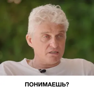 🤔 ПОНИМАЕШЬ? telegram sticker
