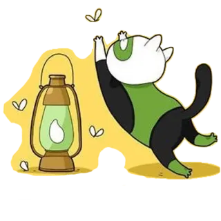 💚 gato, lanterna, pirilampo, animal, fofo, desenho animado whatsapp sticker