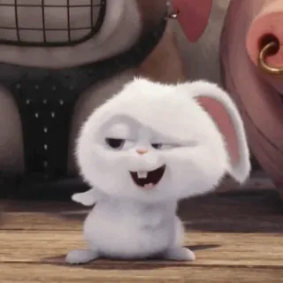 🍓 Snowball The Secret Life of Pets สโนว์บอล, กระต่ายน้อย, กระต่าย, น่ารัก, เรื่องลับแก๊งค์ขนฟู, แอนิเมชั่น, ตลก telegram sticker