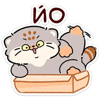 😼 ЙО cat, manul, pallas cat, box, cartoon, cute, sticker telegram sticker