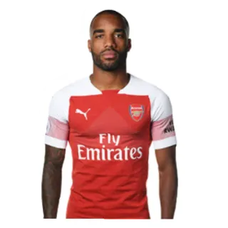 🇫🇷 football, soccer, arsenal, sports, player telegram sticker