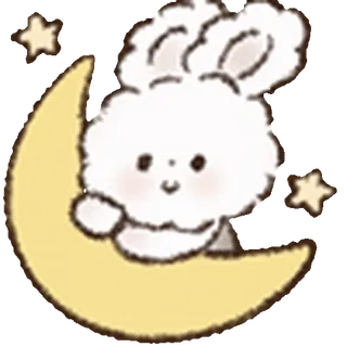 🌙