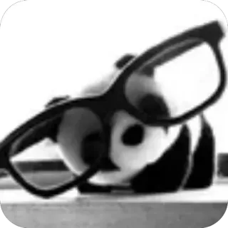 🐼 Panda whatsapp sticker