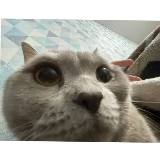 Больше стиков тут: @stikery4 whatsapp stickers