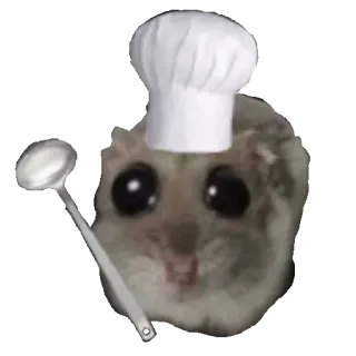 👩‍🍳 Sugar Glider sugar glider, chef, cooking, cute, meme, animal, hat telegram sticker