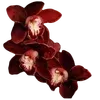 🥀
