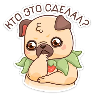 🤔 КТО ЭТО СДЕЛАЛ? 강아지, 퍼그, 질문, 귀여운, 동물, 스티커 telegram sticker
