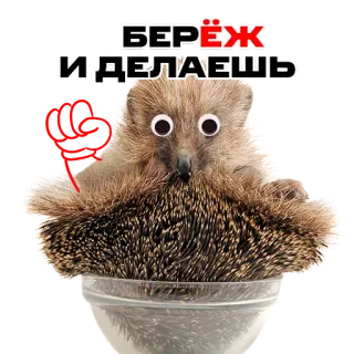 надЁЖные стикеры telegram stickers