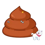 💩