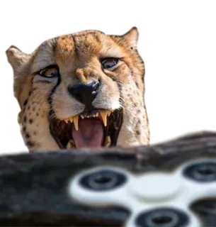 CheeStix 5000 telegram stickers