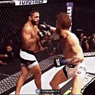 🦁 CONORTV MMA, fighting, sports, boxing, UFC, combat sports telegram sticker