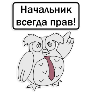 🧐 Начальник всегда прав! นกฮูก, เจ้านาย, ถูกเสมอ, ตลก, การ์ตูน, สัตว์, สำนักงาน, อำนาจ telegram sticker