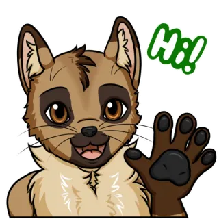 👋 Hi! gatto, ciao, ciao, animale, amichevole, che saluta, saluto whatsapp sticker