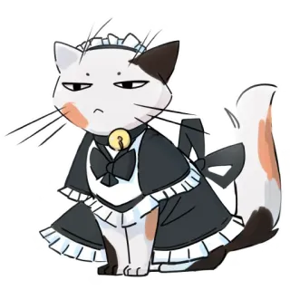 😾 cat telegram sticker