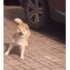 🤩