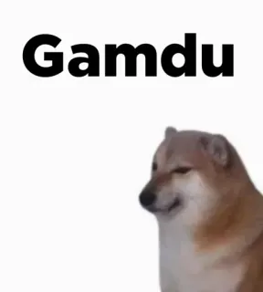 🎭 Gamdu 강아지, 밈, Cheems, 도지 telegram sticker