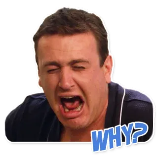 😩 WHY? expression, question, réaction, pourquoi telegram sticker