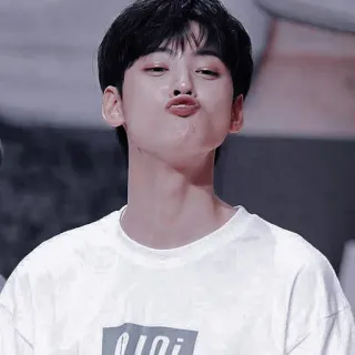 🦧 whatsapp sticker