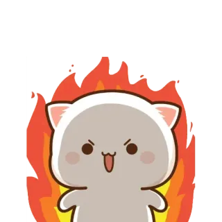 😡 cat, angry, flames, cute whatsapp sticker