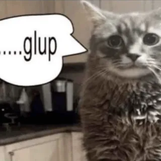 😟 ....glup cat, meme, funny, reaction, glup, animal telegram sticker