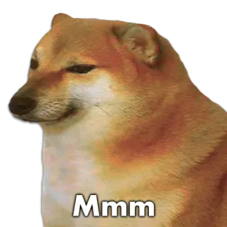 🐶 Mmm doge, หมา, มีม, ตลก, สัตว์ whatsapp sticker