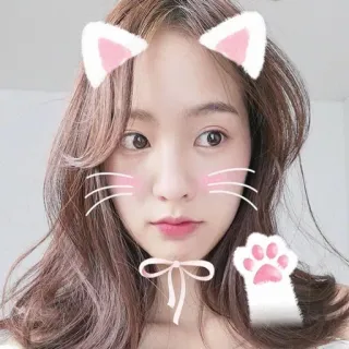 😒 oreilles de chat, mignon, filtre visage, kawaii, selfie, femme, portrait telegram sticker
