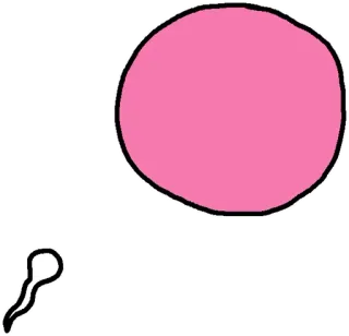 🏹 esperma, óvulo, fertilización, biología, reproducción telegram sticker