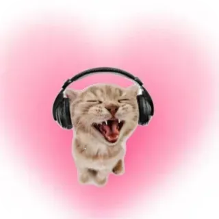 👄 cat, headphones, music, animal, cute, sticker telegram sticker