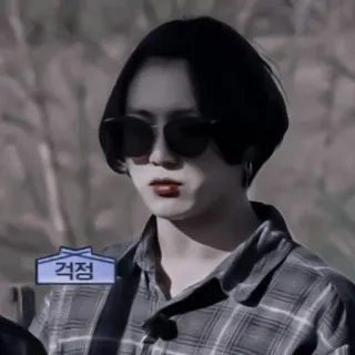🐰 걱정 persona, gafas de sol, coreano, camisa de cuadros, expresión, hombre telegram sticker