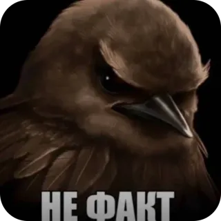 Больше стиков тут: @stikery4 telegram stickers